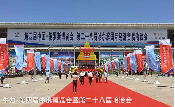 [Focus] Niu Li appears at 2017 China Russia Expo